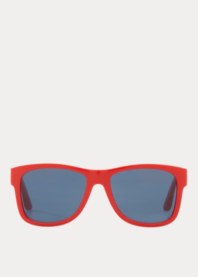 Men's Polo Ralph Lauren Color-Blocked Sunglasses | 923716GKE